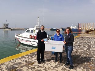 riparte-la-stagione-del-centro-di-primo-soccorso-per-tartarughe-marine