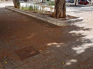 diventera-bellissima-chiede-la-pulizia-dei-marciapiedi-piazza-stazione-e-via-fardella