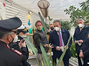 a-marsala-inaugurata-stamani-la-casa-delle-farfalle