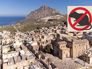 custonaci-al-via-2-intervento-di-derattizzazione