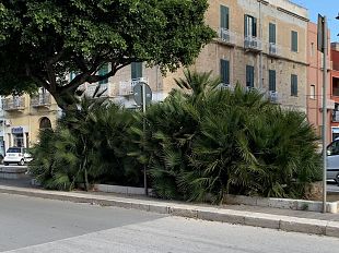 trapani-tratti-di-marciapiede-impraticabili-in-via-fardella