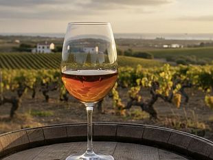 lessenza-del-tempo-il-perpetuoanima-ancestrale-del-vino-sicil-essenza-del-tempo-lanima-ancestrale-del-vino-siciliano