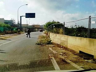 mazara-proseguono-in-citta-le-operazioni-di-pulizia-della-spiaggia-e-discerbatura