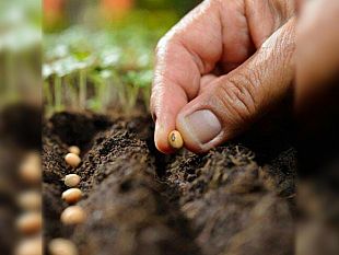 al-via-il-progetto-orchidea-organizzare-e-rigenerare-contrastando-gli-handicap-e-includendo-i-disabili-ed-anziani