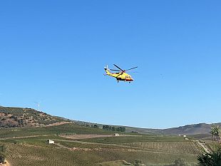 dramma-durante-la-vendemmia-fra-alcamo-e-camporeale-un-60enne-perde-la-vita