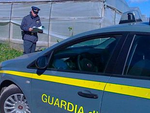 operazione-contro-il-caporalato-nellex-provincia-di-trapani-smantellata-organizzazione-criminale-sfruttava-e-vessava-braccianti-rumeni