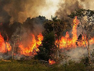 campobello-prevenzione-rischio-dincendi-anche-questanno-il-sindaco-castiglione-ha-emanato-unordinanza-2