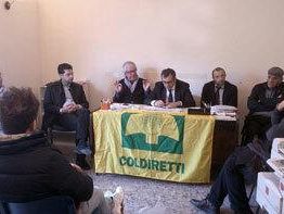 incontro-della-federazione-imprese-pesca-mediterranea-e-i-vertici-di-coldiretti