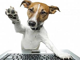 nasce-il-pettag-la-prima-funzione-al-mondo-che-tagga-gli-animali-domestici
