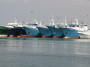 agripesca-scilla-il-sindaco-di-lampedusa-ha-perso-una-occasione-per-stare-zitto-no-alla-guerra-tra-marinerie