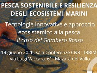 mazara-al-cnr-levento-sea4future-per-la-gestione-sostenibile-della-pesca-a-strascico