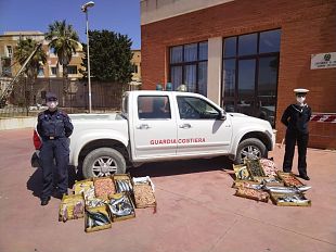 trapani-sequestrati-90-kg-di-prodotti-ittici-privi-di-traccialbilita