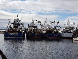ciclone-nel-mediterraneo-7-pescherecci-mazaresi-trovano-riparo-nel-porto-di-mahdia-tunisia