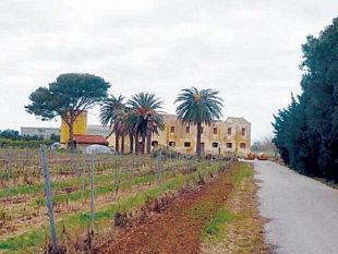 podere-badia-interviene-massimo-grillo