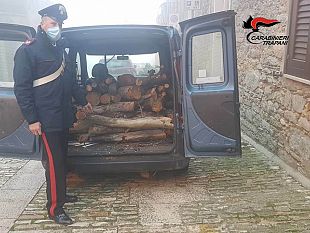 erice-arrestato-un-pensionato-68enne-sorpreso-a-rubare-legna