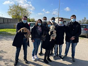 vietare-i-botti-di-capodanno-per-tutelare-persone-e-animali-appello-della-lega-giovani-provincia-di-trapani