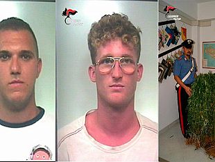 petrosino-carabinieri-rinvenuta-una-piantagione-di-marijuana
