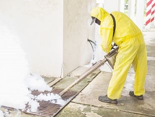 san-vito-lo-capo-al-via-disinfestazione-adulticida-di-zanzare-e-altri-insetti