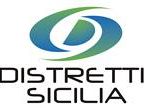 distretti-produttivi-braccio-operativo-della-regione