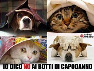 botti-di-capodanno-vietati-anche-a-castelvetrano-lo-comunica-la-commissione-straordinaria