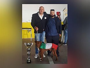 2il-pitbull-attila-conquista-il-titolo-di-italian-champion-bbr