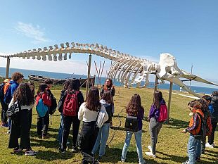 mazara-gli-studenti-della-i-h-dellic-g-grassa-alla-scoperta-della-biodiversita-marina