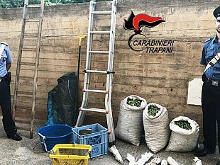 mazara-intensificati-i-servizi-2-arresti-e-10-denunce-dei-carabinieri