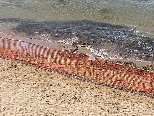 rinvenuti-due-ordigni-inesplosi-a-marinella-di-selinunte