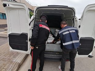 pesce-non-tracciato-scattano-sequestri-e-multe-a-palermo