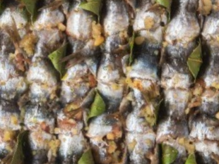 ricette-tipiche-siciliane-le-sarde-a-beccafico