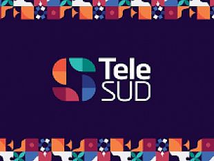 vertenza-telesud-direttore-e-redattori-esclusi-dallaccesso-al-sito