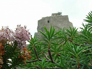 nuovi-orari-d-ingresso-per-la-grotta-del-pozzo-a-favignana-e-per-il-castello-di-punta-troia-a-marettimo