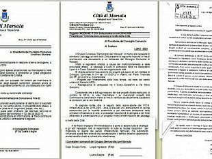 consiglio-comunale-approvati-due-atti-deliberativi-sui-passaggi-a-livello-e-sul-randagismo