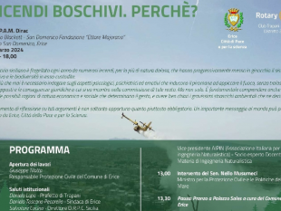 ad-erice-il-convegno-incendi-boschivi-perche