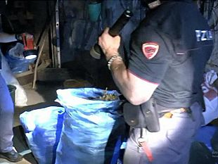 maxi-sequestro-della-polizia-di-stato-a-calatafimi-la-squadra-mobile-di-trapani-arresta-2-persone-e-sequestra-220-chilogrammi-di-marijuana
