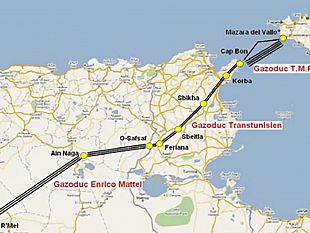 mazara-gasdotto-transmed-nota-dellass-mauro-e-cons-palermo-e-bommarito