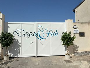 mazara/dega-fish-inaugura-la-sua-nuova-sede-a-mazara-del-vallo-ecco-dove-si-trova