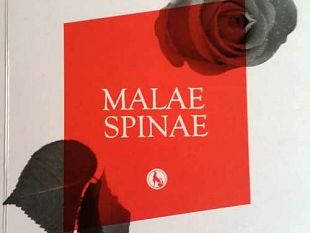 mazara-malae-spinae-presentazione-del-libro-di-maria-letizia-balsamo-e-daniele-catalano
