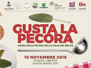 santa-ninfadomenica-18-novembre-tutti-i-pazzi-per-la-pecora