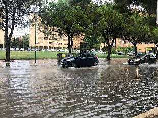 pulizie-caditoie-cittadine-prioritari-gli-interventi-nelle-zone-piu-a-rischio-allagamento