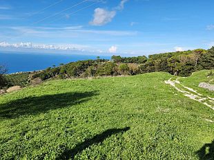 erice-cai-e-scuole-insieme-per-dare-vita-al-bosco-degli-studenti