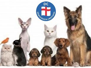 mazara-i-consiglieri-della-dc-presentano-interrogazione-su-realizzazione-di-un-cimitero-per-animali-daffezione
