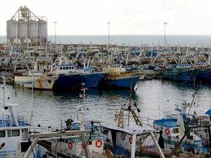 illuminazione-porto-nuovo-mazara-approvato-in-conferenza-di-servizi-il-progetto-di-ripristino-dell-illuminazione-portuale-previsto-un-investimento-di-oltre-un-milione-di-euro