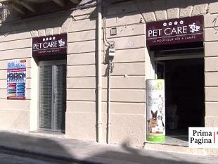 amare-gli-animali-e-credere-nel-riscatto-di-questa-citta