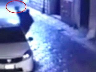 denunciato-il-giovane-che-ha-danneggiato-un-auto-del-comune-di-mazara