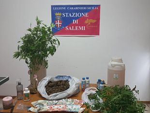 coltivava-piante-di-marijuana-in-una-casa-vacanze-a-vita-arrestato-38enne-salemitano