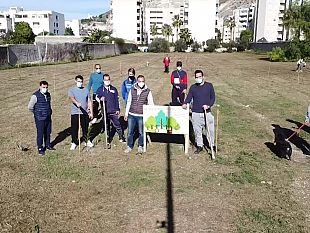 alberi-via-clio-action-group-ora-sgomento-e-sconforto