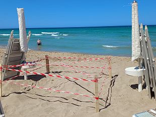 tartarughe-marine-il-lido-signorino-di-marsala-diventa-rifugio-per-la-nidificazione-della-caretta-caretta