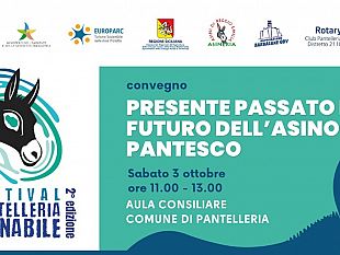 festival-pantelleria-asinabile-al-centro-degli-eventi-il-futuro-e-la-tutela-dellasino-pantesco