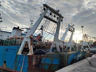 pescatori-in-allarme-insostenibili-le-nuove-proposte-ue-sulla-pesca-nel-mediterraneo